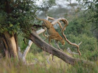 Katavi National Park