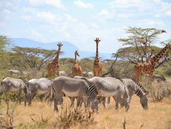Samburu National Reserve Samburu National Reserve